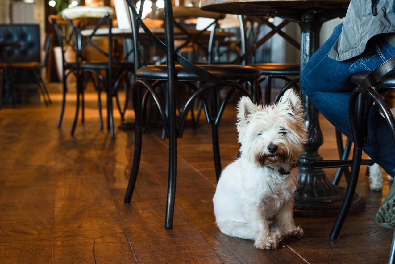 The Seaburn Inn - The Inn Collection Group Sunderland  Exteriér fotografie